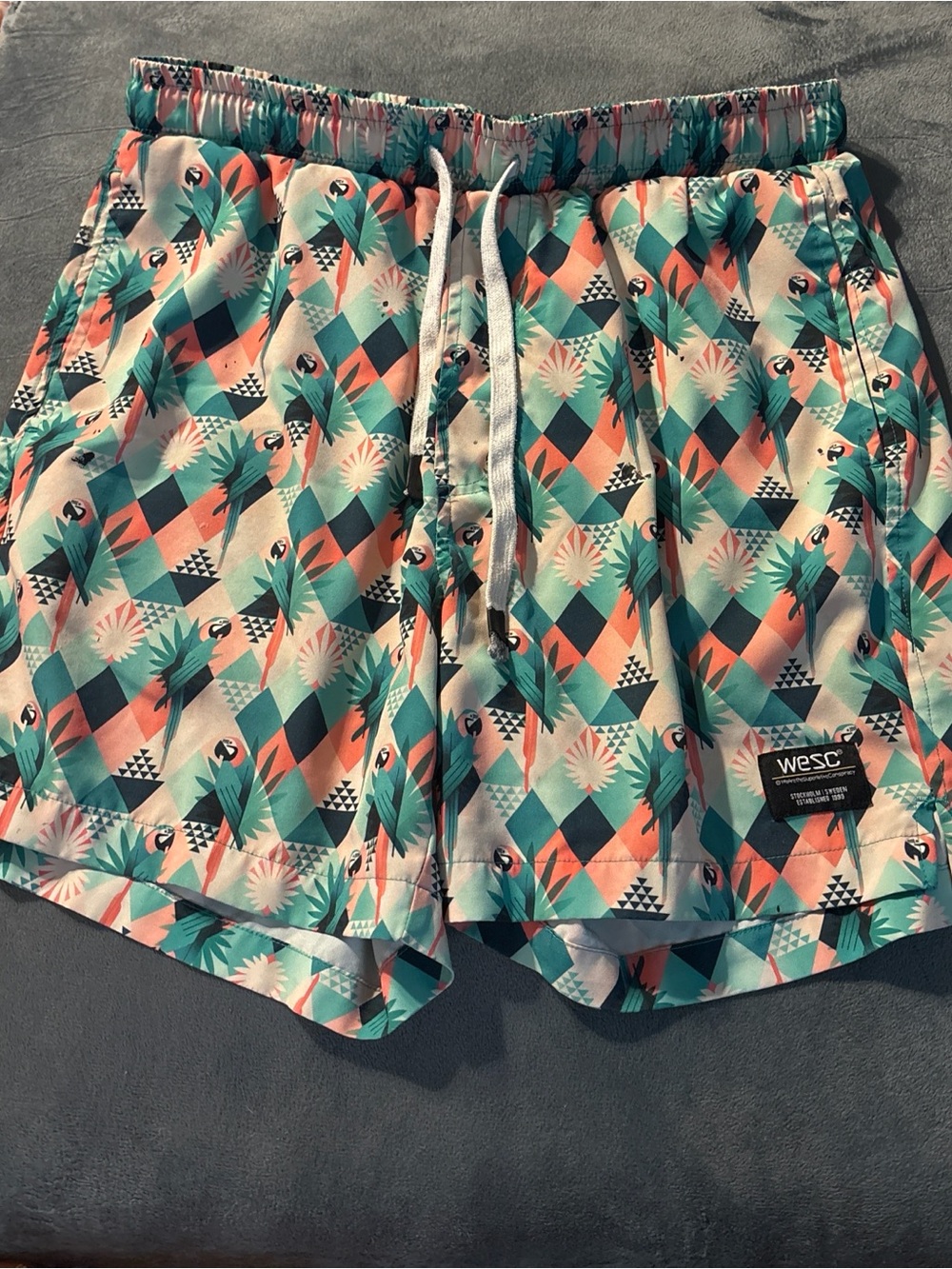 Wesc Austin Tropical Abstract Men’s Medium Parrot Geo Print Swim Trunks